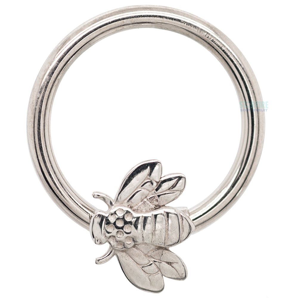 Bee Gold Captive Bead Ring (CBR)