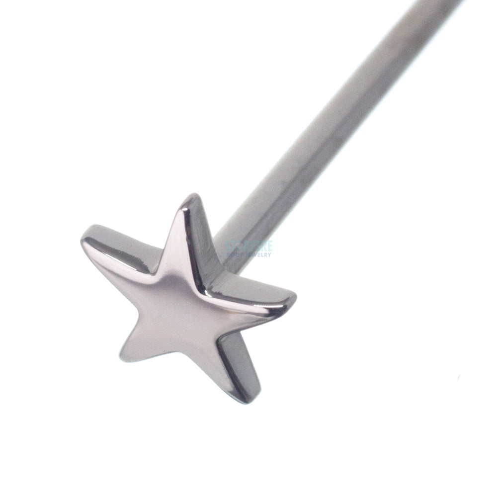 Flat Star Nostril Screw in Gold & Platinum