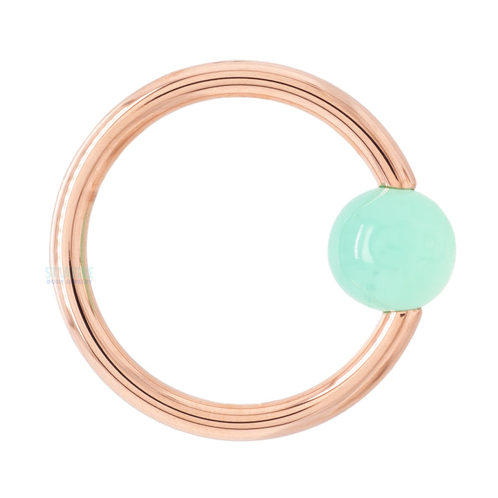 Captive Bead Ring (CBR) in Gold & Platinum with Chrysoprase Captive Bead