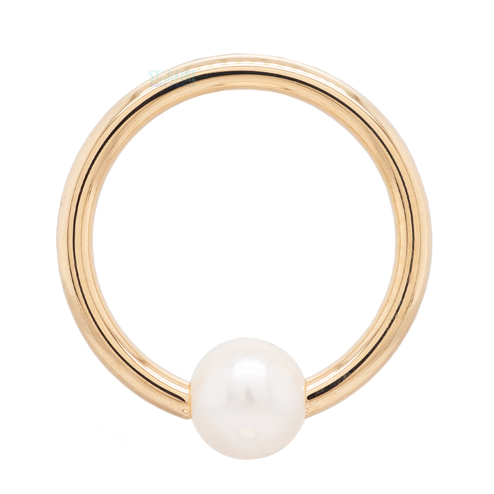 Captive Bead Ring (CBR) in Gold & Platinum with Pearl Captive Bead