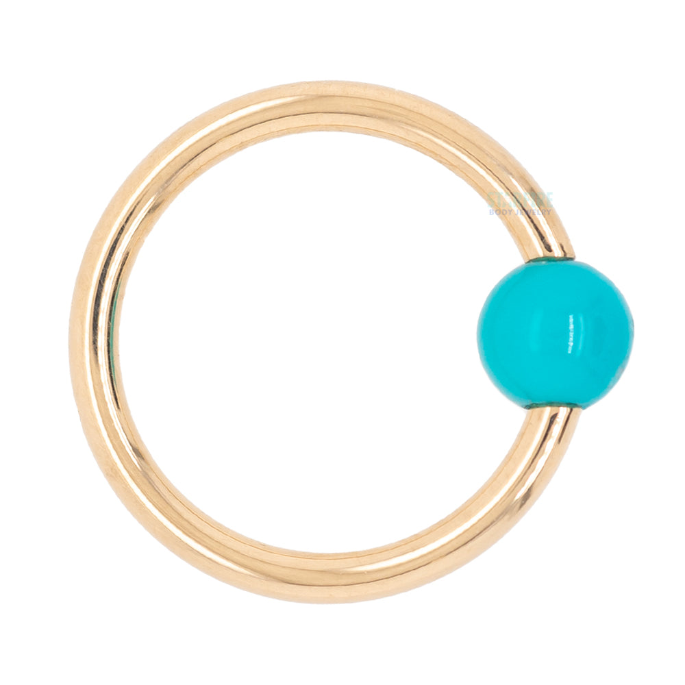 Captive Bead Ring (CBR) in Gold & Platinum with Turquoise Captive Bead