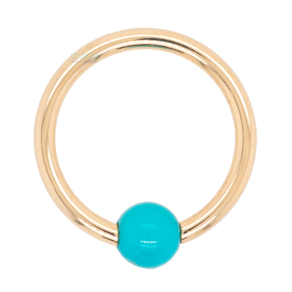 Captive Bead Ring (CBR) in Gold & Platinum with Turquoise Captive Bead