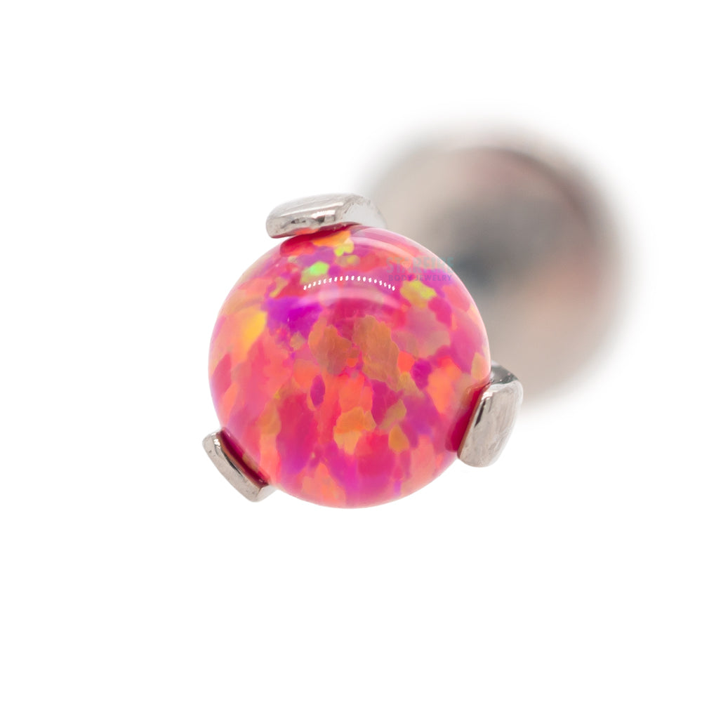 Opal Ball in Prong's on Flatback