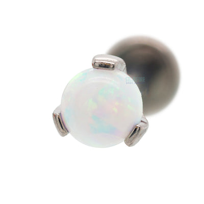 4mm Opal Ball in Prong's on Flatback