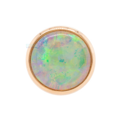 Genuine White Opal in Cup Setting Tongue Barbell in Gold with ball bottom - 14 ga.