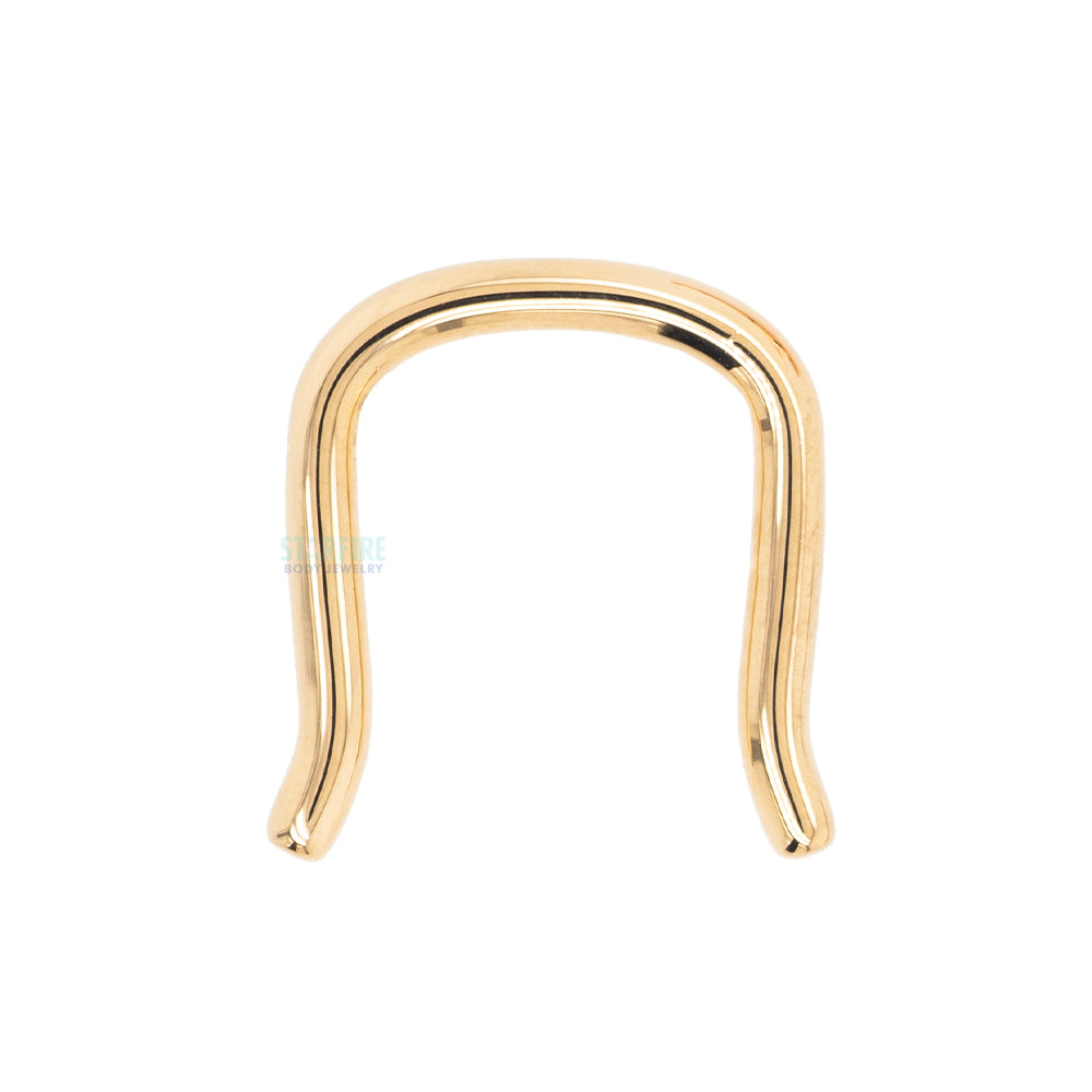 Gold & Platinum Septum Retainer