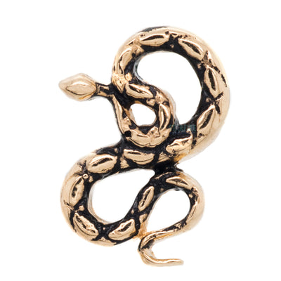 Coiled Snake in Gold - on flatback