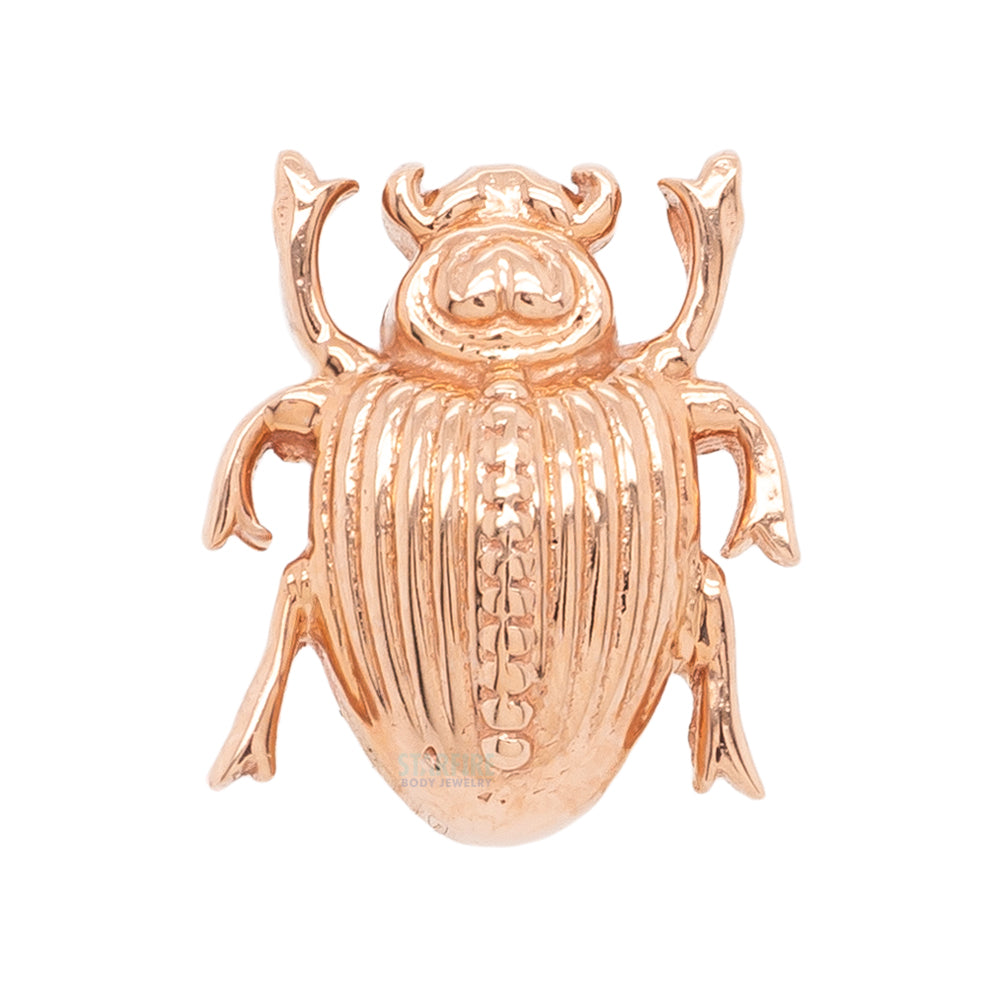 "Scarab Beetle" in Gold - on flatback