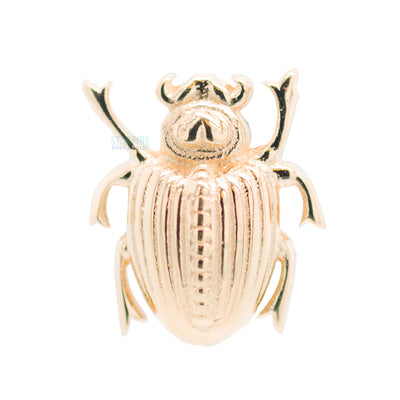 "Scarab Beetle" Threaded End in Gold