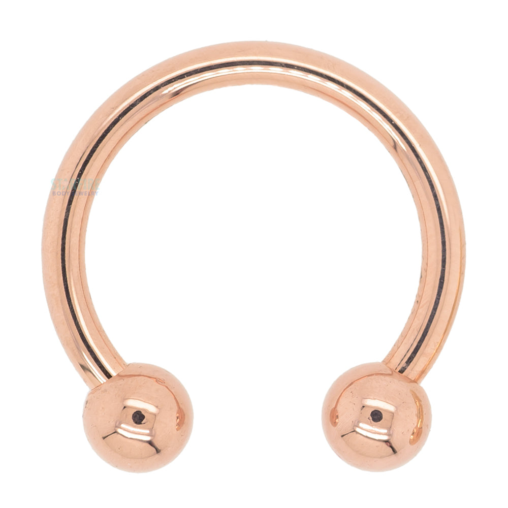 Gold Circular Barbell