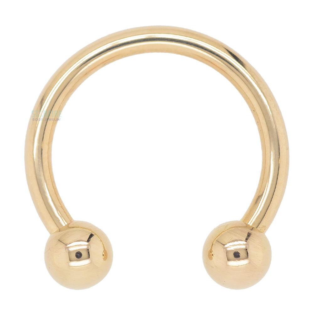 Gold Circular Barbell