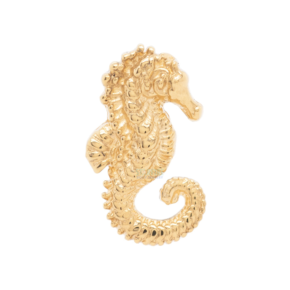 Seahorse Threaded End in Gold