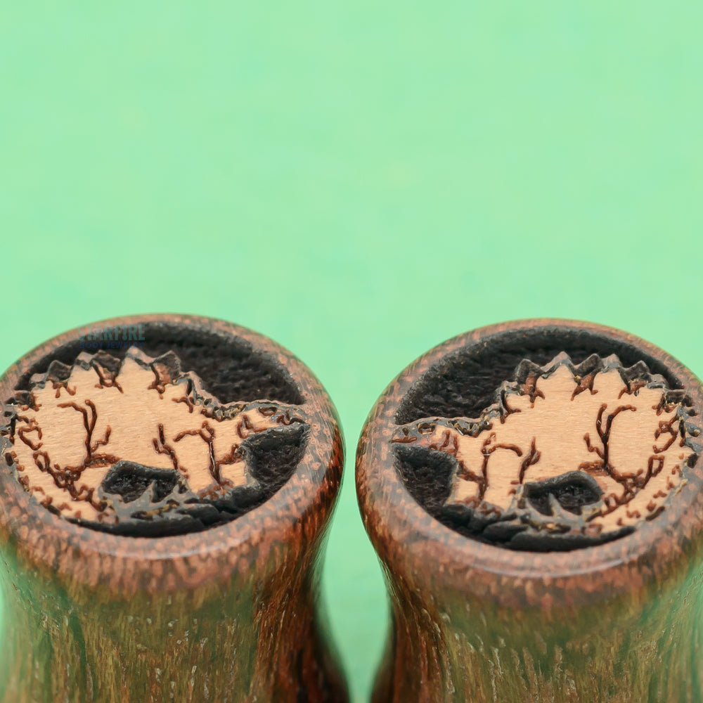 Stegosaurus Dinosaur Wood Inlay Plugs