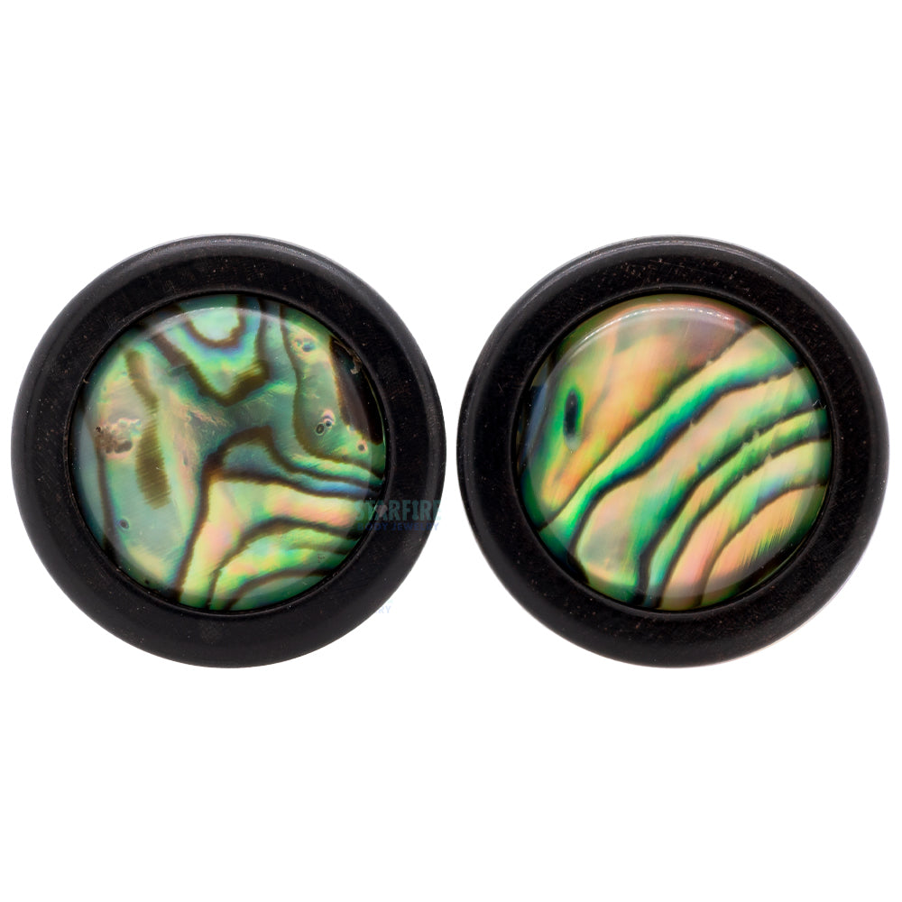 Paua Inlay Wood Plugs