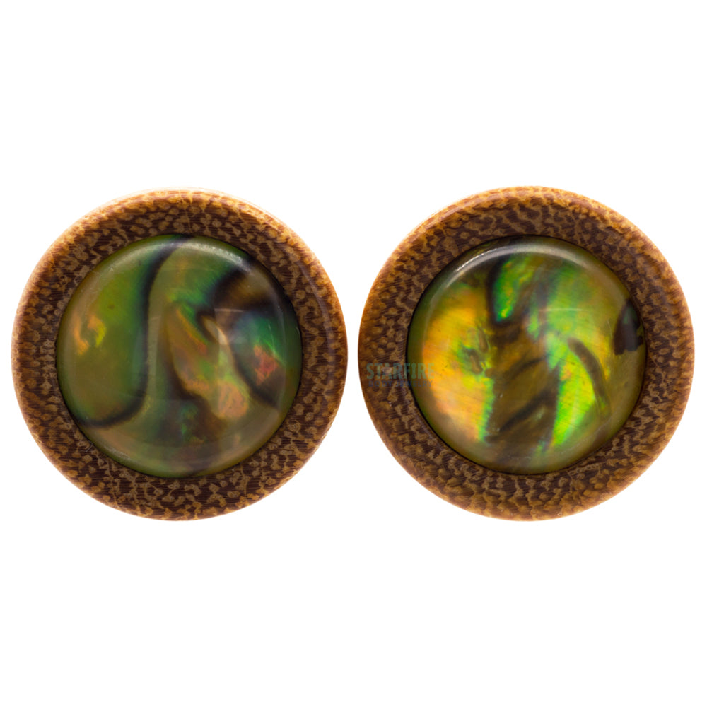 Paua Inlay Wood Plugs
