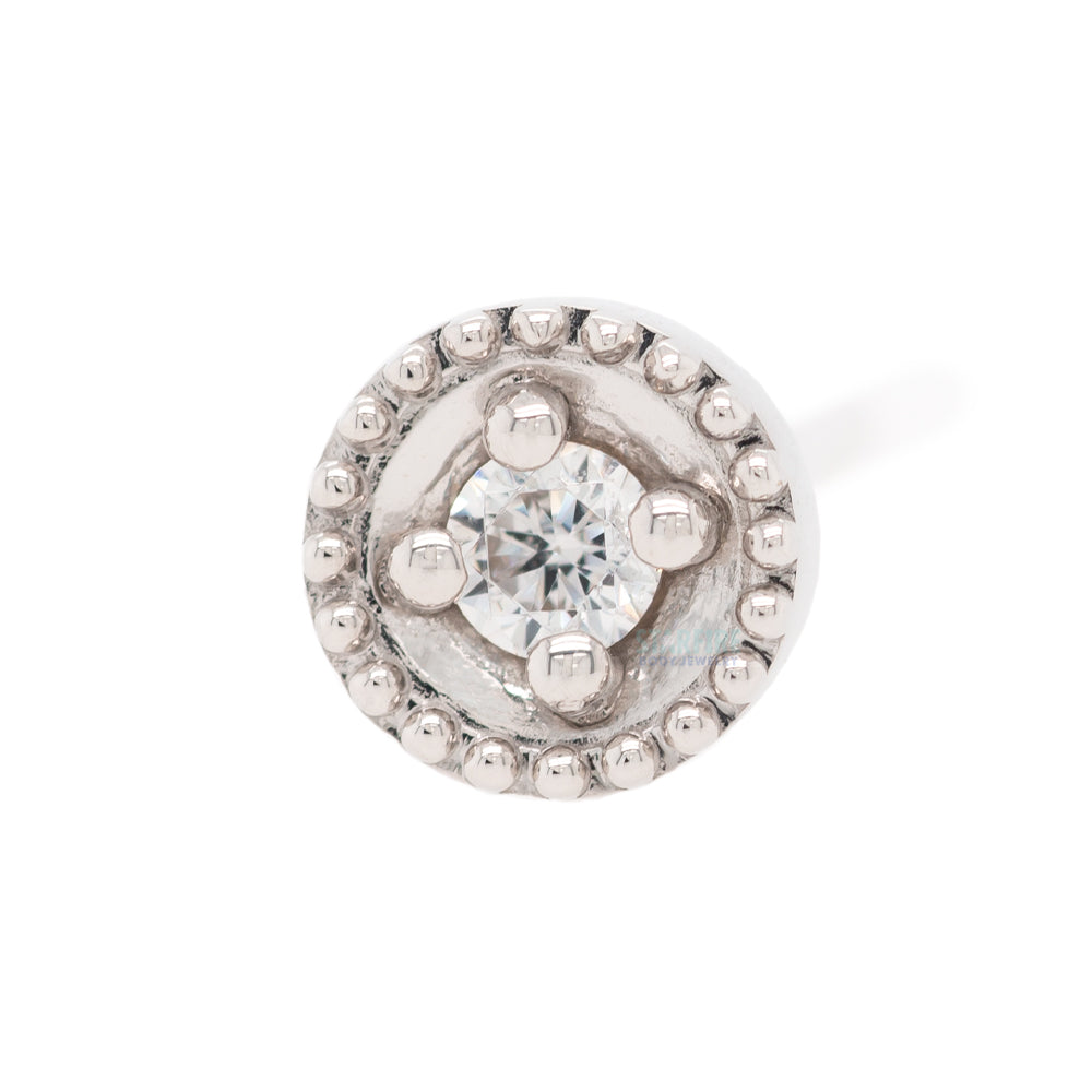Round Harlequin Nostril Screw in Gold with White CZ