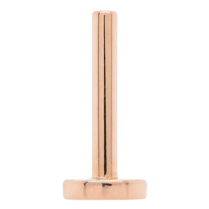 threadless: Gold & Platinum Flatback / Labret Post / Straight Barbell End with Fixed Disc