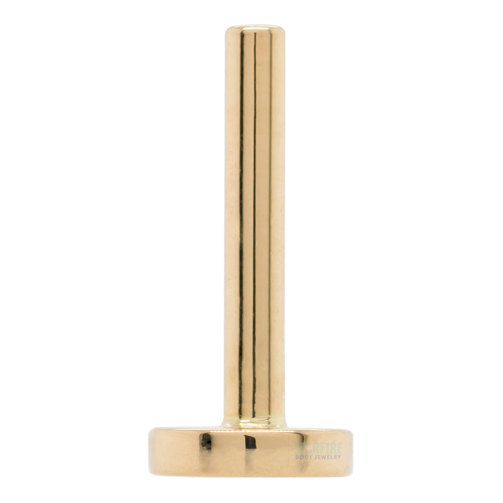 threadless: Gold & Platinum Flatback / Labret Post / Straight Barbell End with Fixed Disc