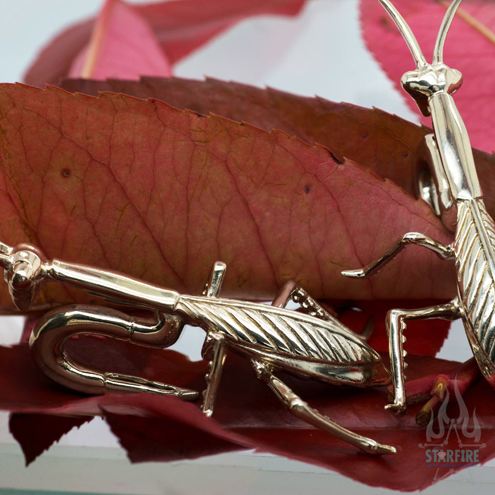 NWT order ZARA SPARKLY PRAYING MANTIS BROOCH