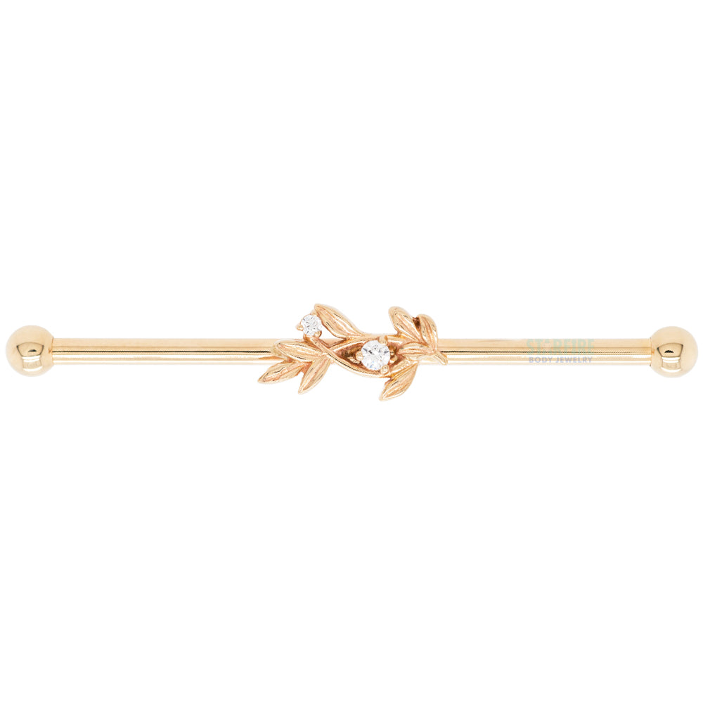 "Jessamine" Industrial Barbell in Gold with White CZ's