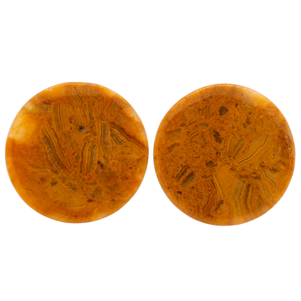 Mayan Style Stone Plugs - Crazy Lace Agate