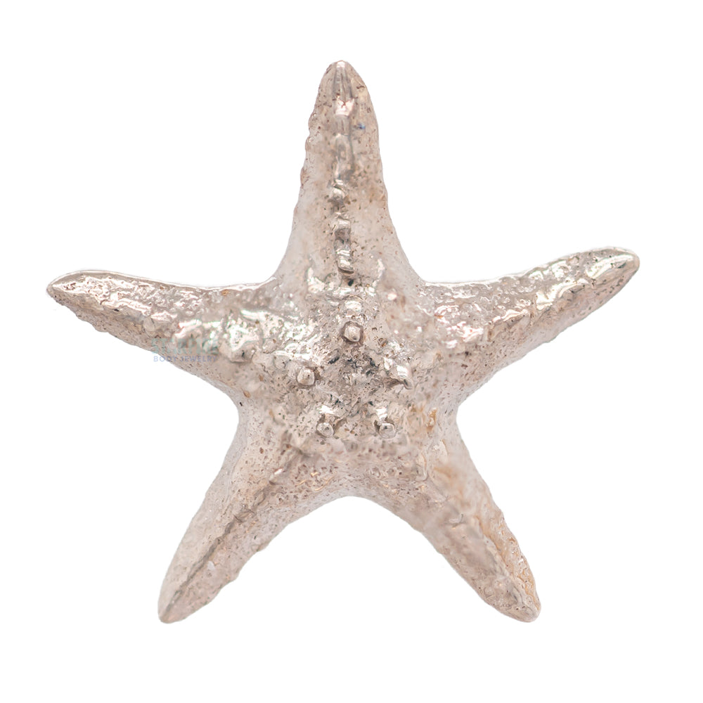 threadless: Starfish Pin in Gold