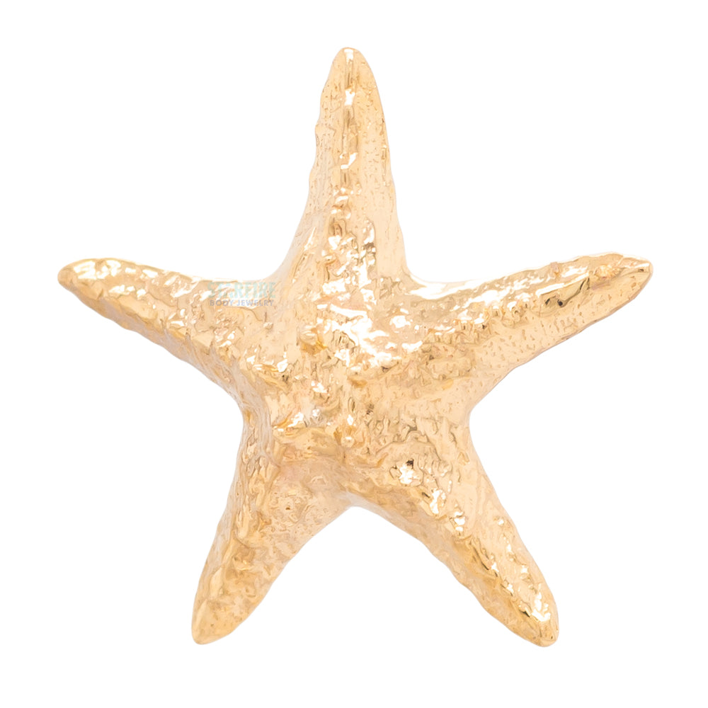 threadless: Starfish Pin in Gold