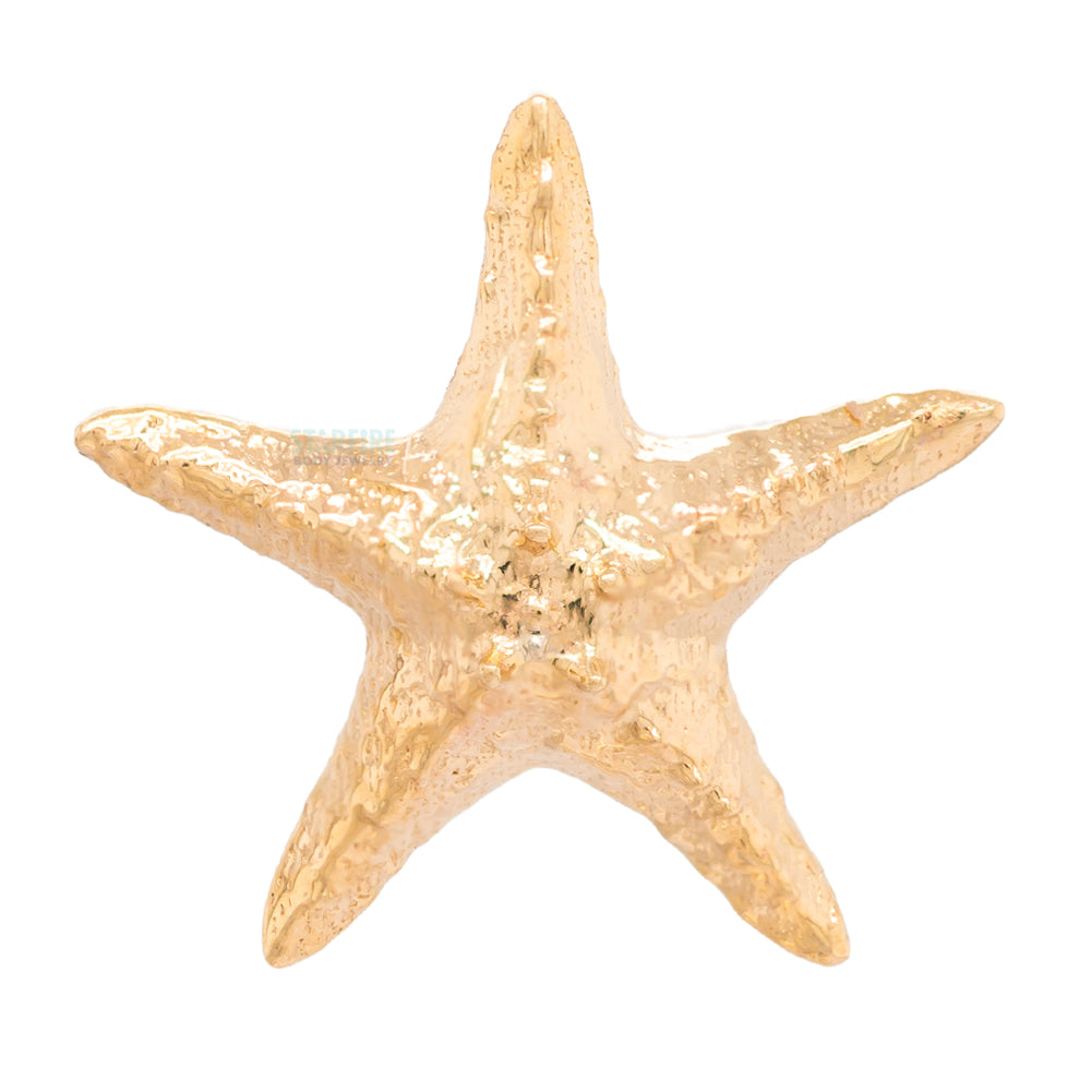 threadless: Starfish Pin in Gold
