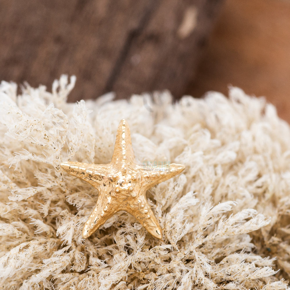 threadless: Starfish Pin in Gold
