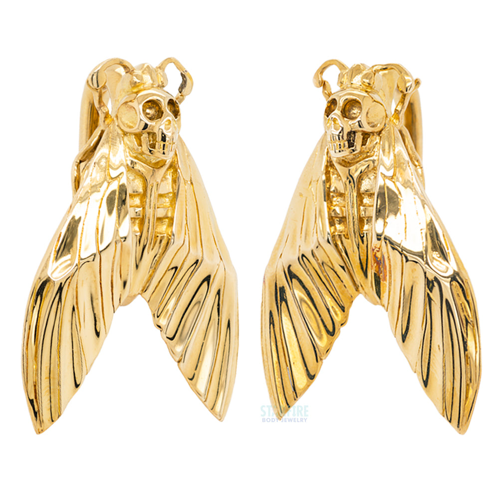 "Death's Head Moth" Weights