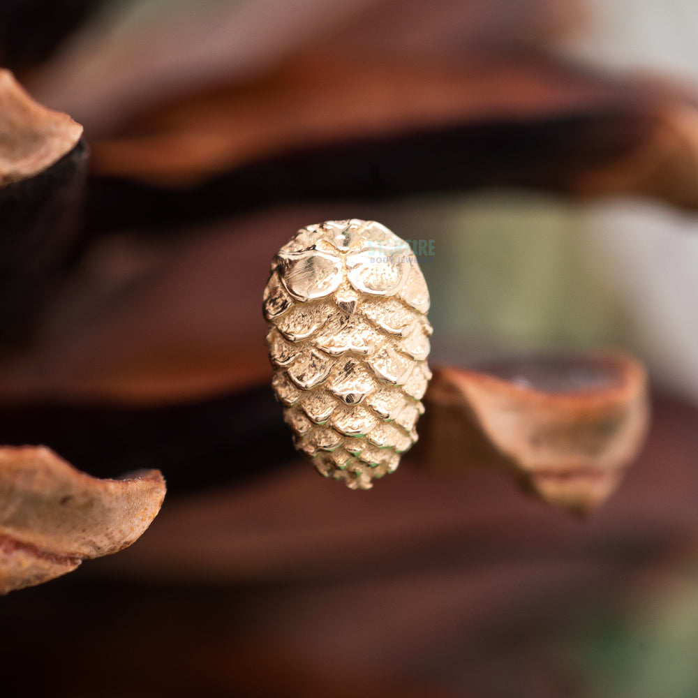 Pine Cone Threaded End in Gold