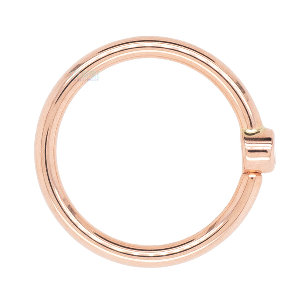 Round Fixed Bezel Seam Ring (FBR) in Gold with Champagne CZ