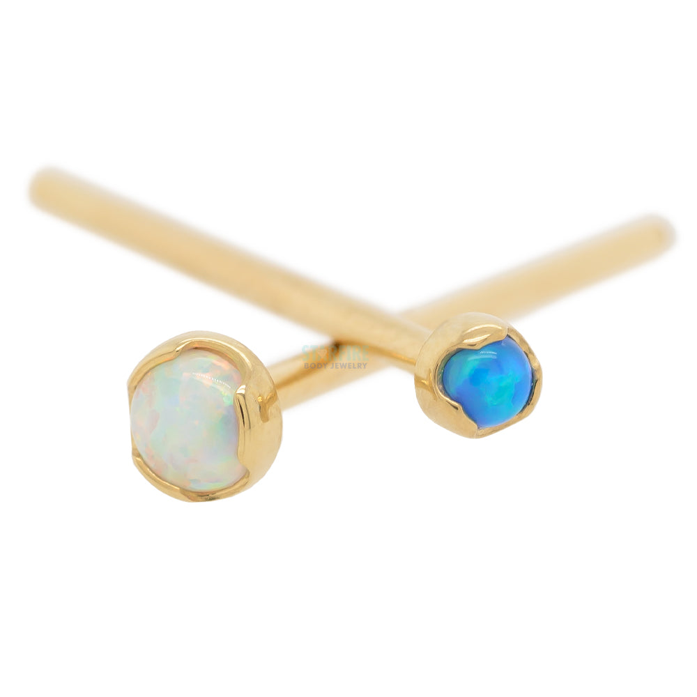 Prong-Set Nostril Screw in Gold with Opal