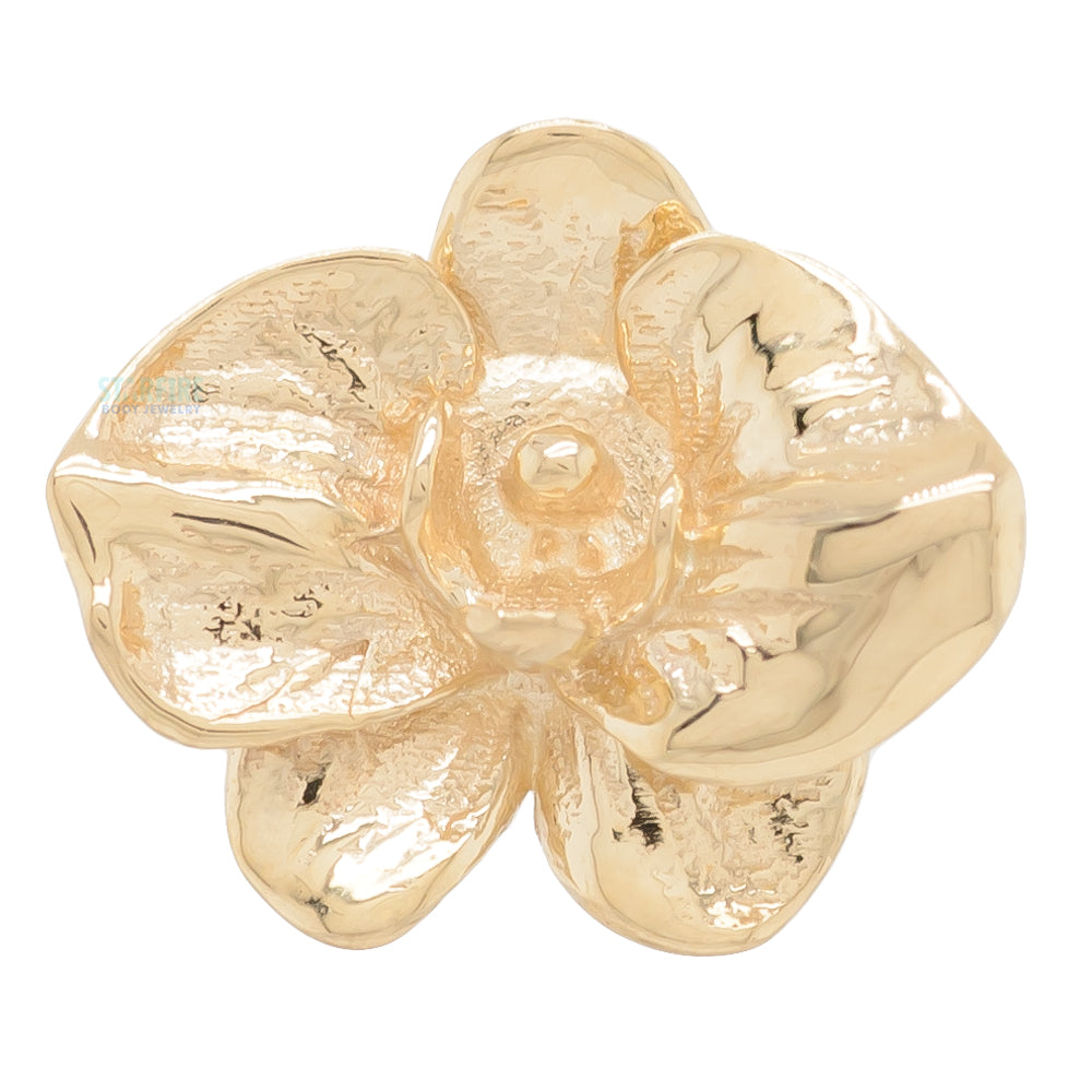 threadless: Orchid Pin in Gold