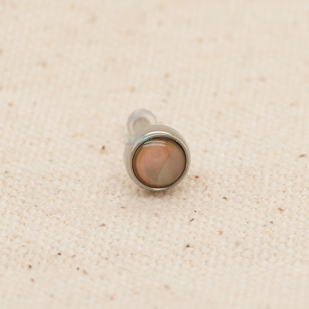 Single-Flared Titanium Natural Stone Cabochon Gem Plug - Natural Paua Shell (12 ga.)