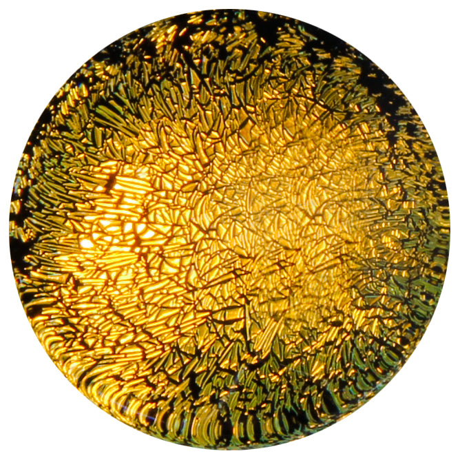 Dichroic Glass Plugs - Gold