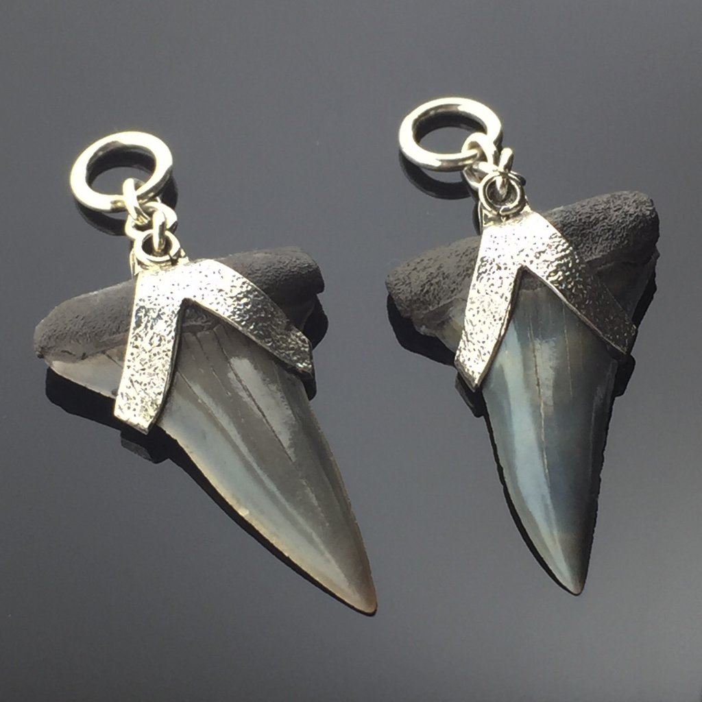 Megalodon (Shark) Teeth Hangers